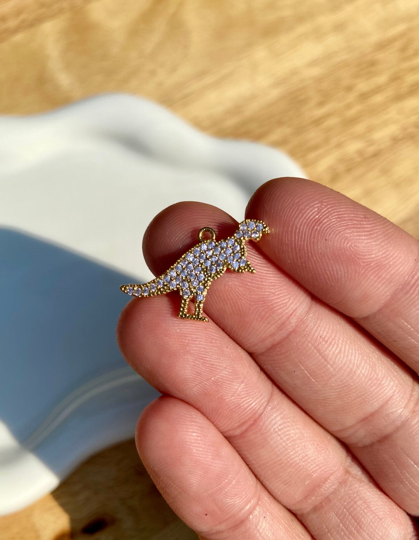 Dinosaur Charm